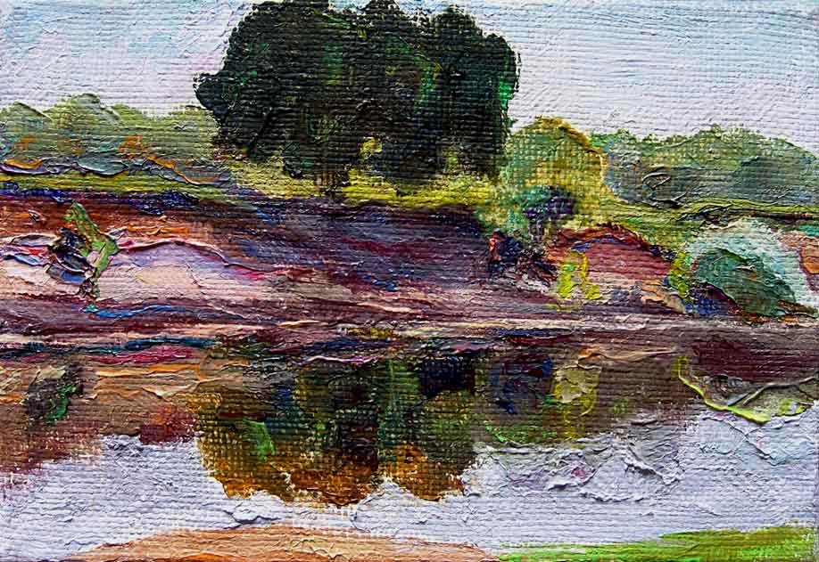     . / The River Snov In June. 2009, oil, canvas, 14x18 cm 