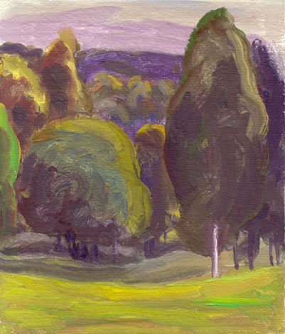Июньские сумерки. 2001